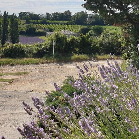 Le Clos Du Grand Chene - Gites 4 Etoiles - Saint-Marcel-d'Ardeche 外观 照片
