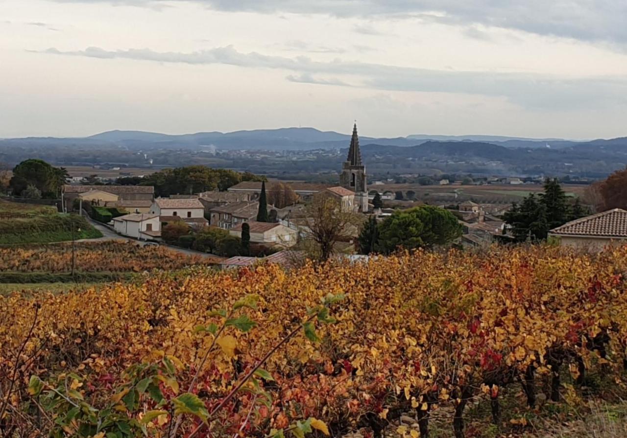 Le Clos Du Grand Chene - Gites 4 Etoiles - Saint-Marcel-d'Ardeche 外观 照片